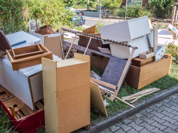 Shed Removal